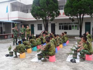 学员《花卉种植》