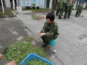 植树节的劳动，师生们的欢乐