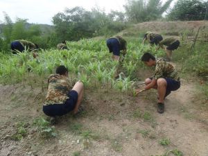 启发青少年特殊教育分享孩子厌学的解决方法