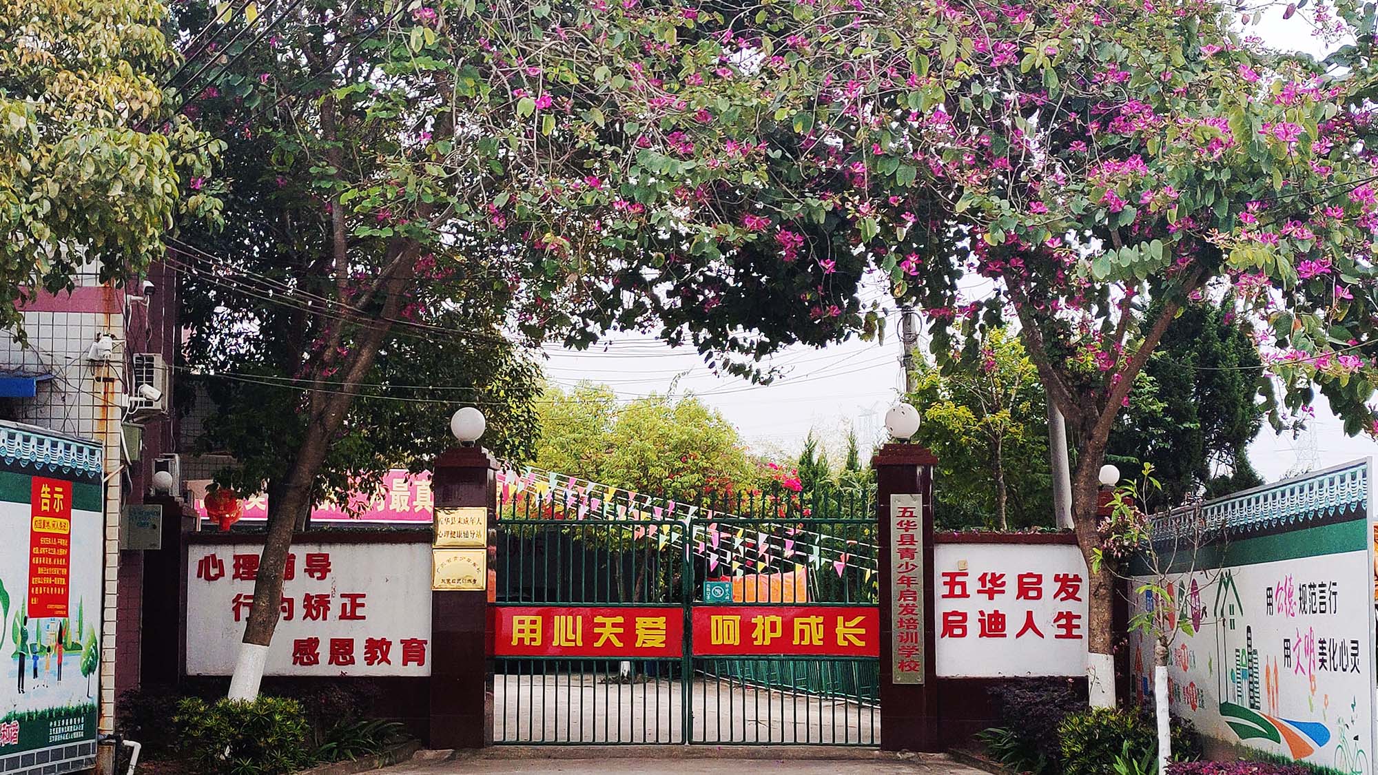大门的封面.jpg